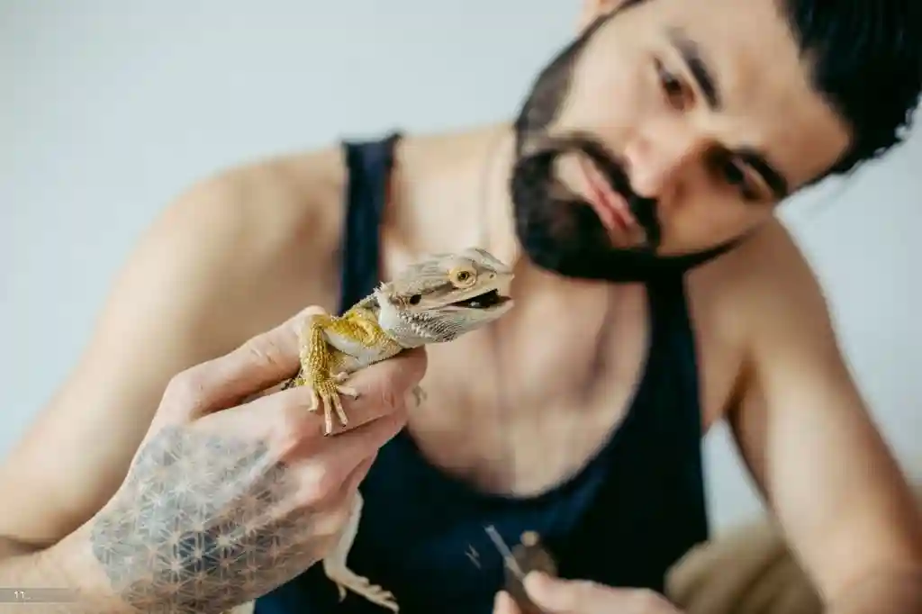 Can Bearded Dragons Eat Candy?