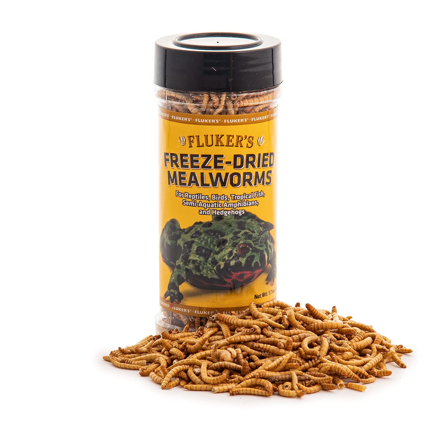 Are Freeze-Dried Worms Good For Bearded Dragons?